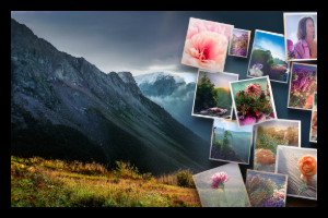 Beispiel für Auswahl von Bildern