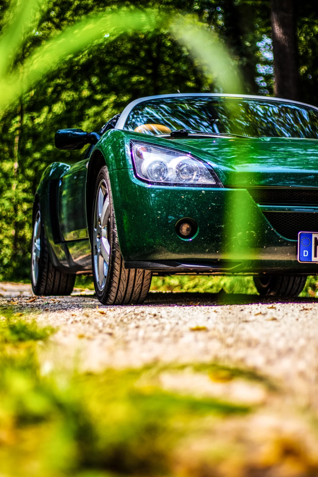 IMG_0373-Edit